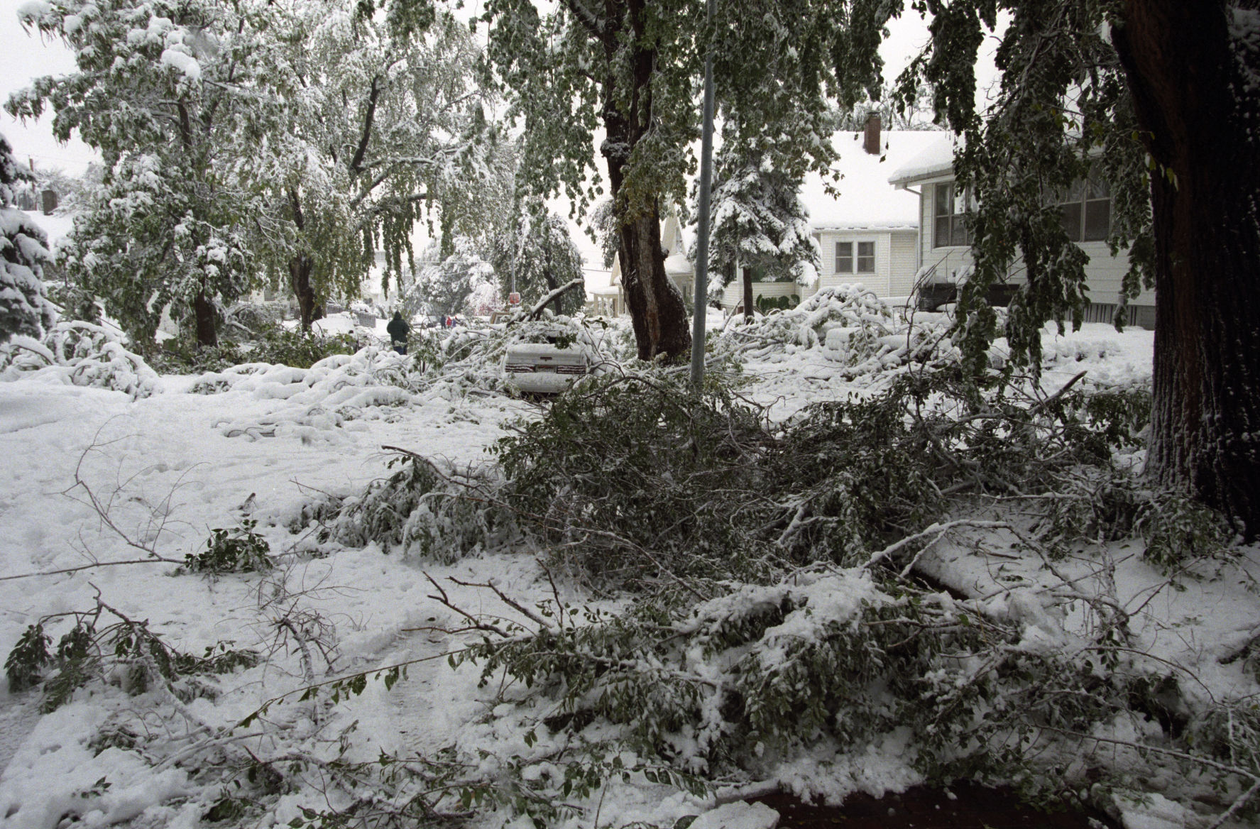 In the wake of the storm, cities, businesses and civic groups banded together to rebuild tree cover.